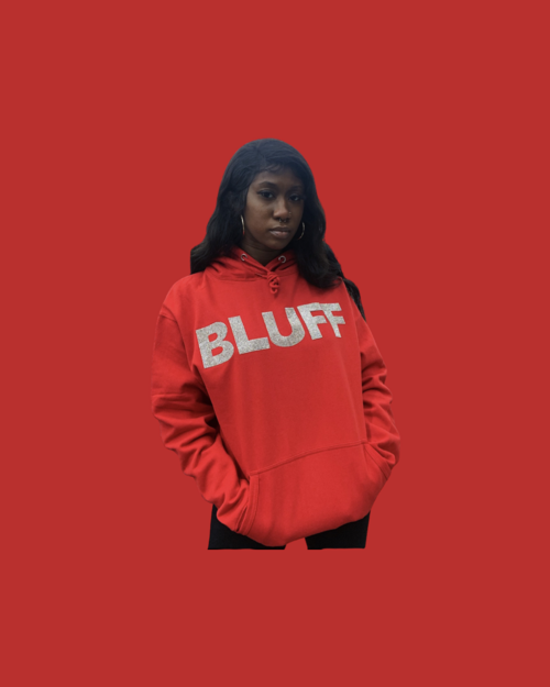 SINGLE COLOR RHINESTONE HOODIES